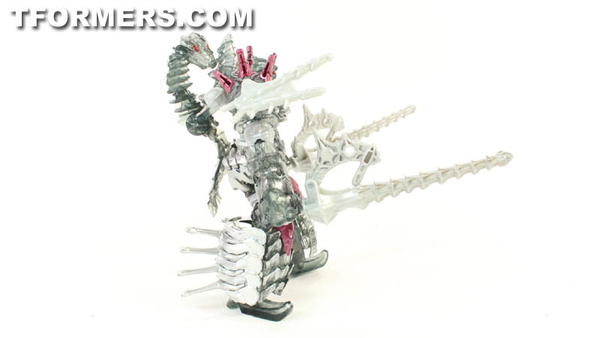 TF4 Dinobots Platinum Edition Unleashed Shared BBTS Exclusive 5 Pack  (11 of 87)